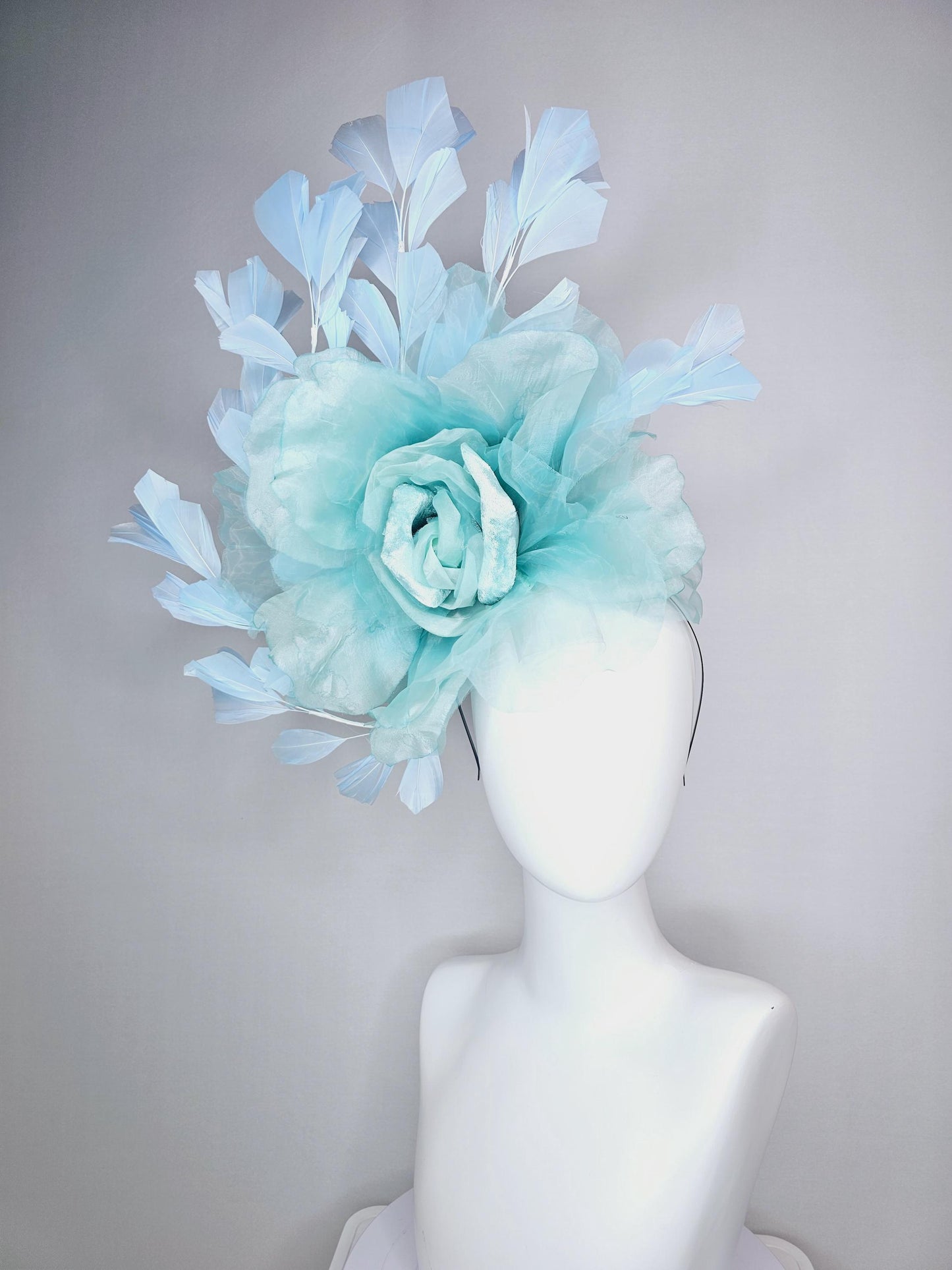 kentucky derby fascinator black headband with very large light blue organza silk flower and baby blue branching feathers