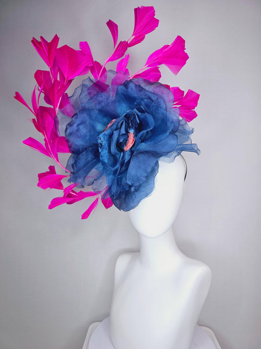 kentucky derby fascinator black headband with very large cobalt denim blue organza silk flower and bright fuchsia pink branching feathers